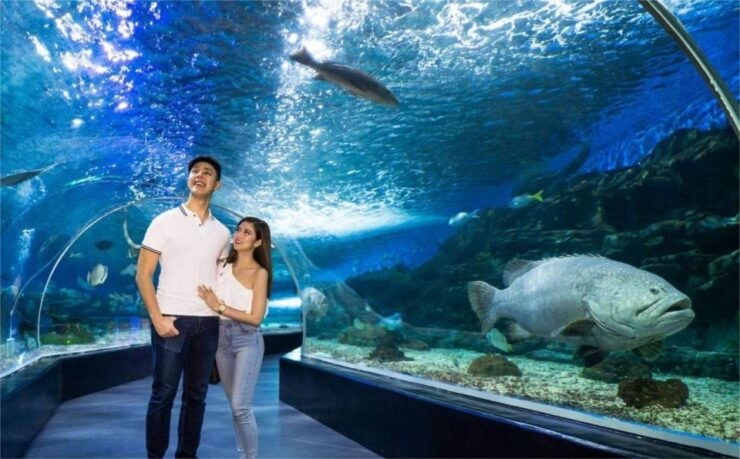 Manila: Manila Ocean Park Entry Ticket - Exhibits and Shows