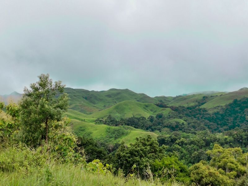 Manila Mt. 387 and Aloha Falls Full-Day Private Tour - At a glance