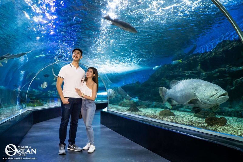 Manila Ocean Park Ticket - What to know before you go