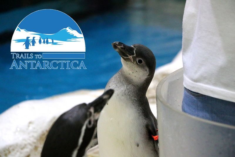 Manila Ocean Park Ticket - The Oceanarium tunnel is the main event