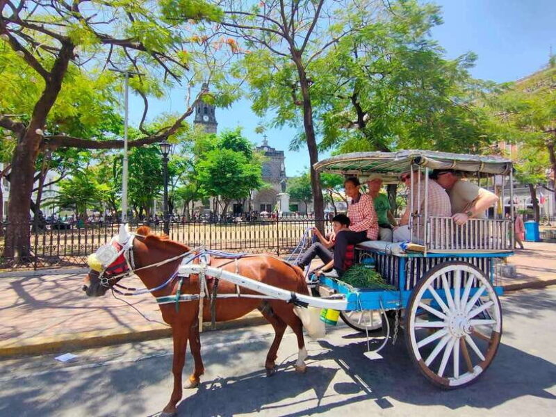 Manila: Rich History of Intramuros Private Tour - A Deep Dive into the Intramuros Experience