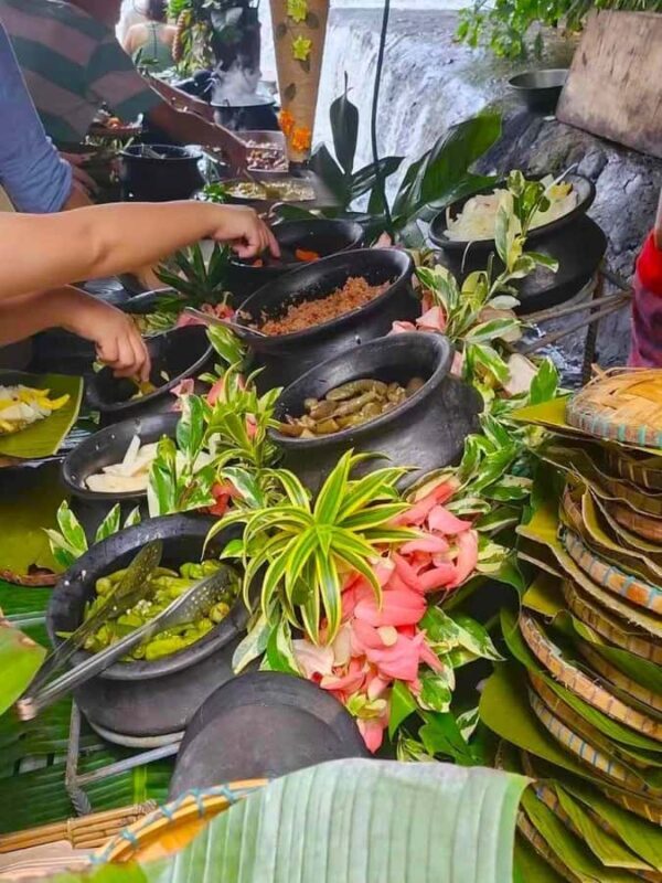 Manila: Villa Escudero Waterfalls w/Lunch & Private Car - FAQ