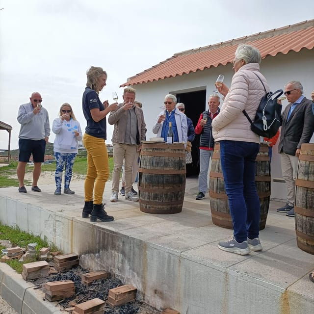 Manilva: Nilva Vineyard, Wine Tasting & Tapas Guided Tour - Wine Tasting and Tapas Experience