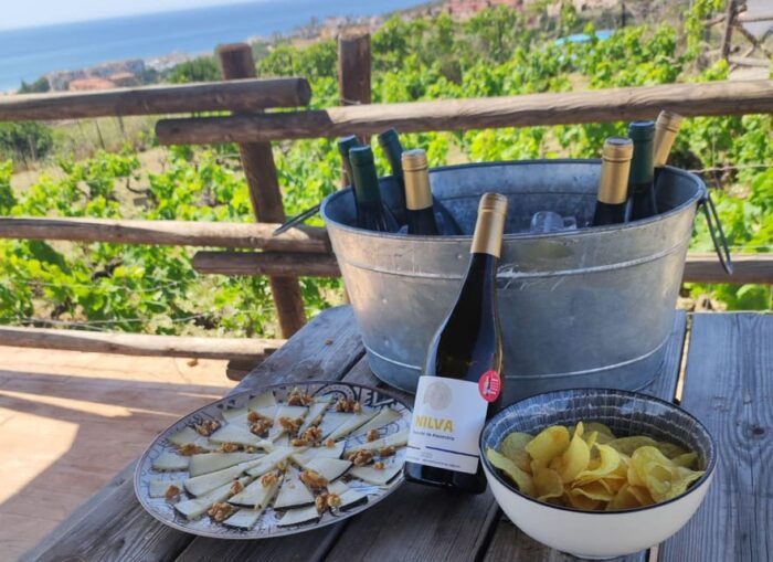 Manilva: Nilva Vineyard, Wine Tasting & Tapas Guided Tour - Important Information for Visitors