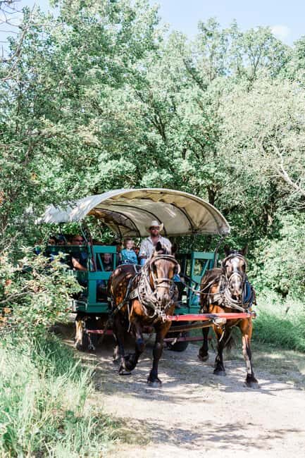Manitoba: Horse-Drawn Wagon Ride in Spruce Woods Park - FAQ