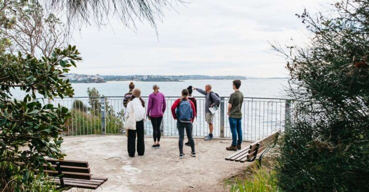 Manly and Shelly Beach Snorkeling Tour - Activity Details