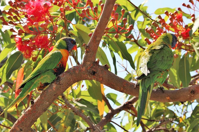 Manly Beach and Sydney Harbour - The Sum Up