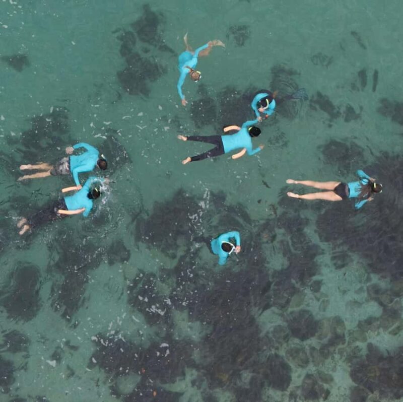 Manly Beach Guided Snorkeling Tours - Good To Know