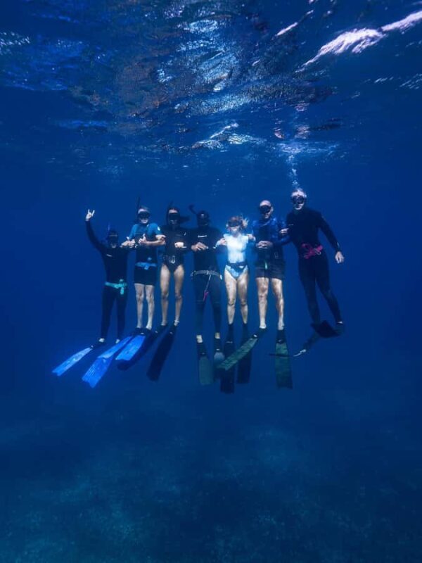 Manly: Beginner Freediving: Breath-Hold & Ocean Exploration - Good To Know
