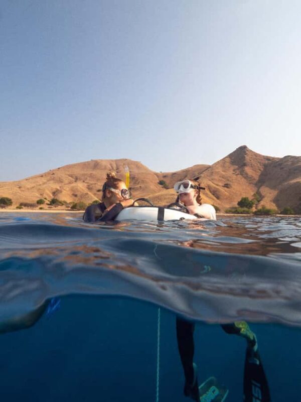 Manly: Beginner Freediving: Breath-Hold & Ocean Exploration - FAQs