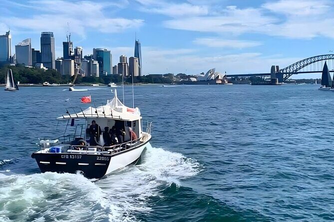 Manly Catch and Cook Ocean to Plate Experience - Good To Know