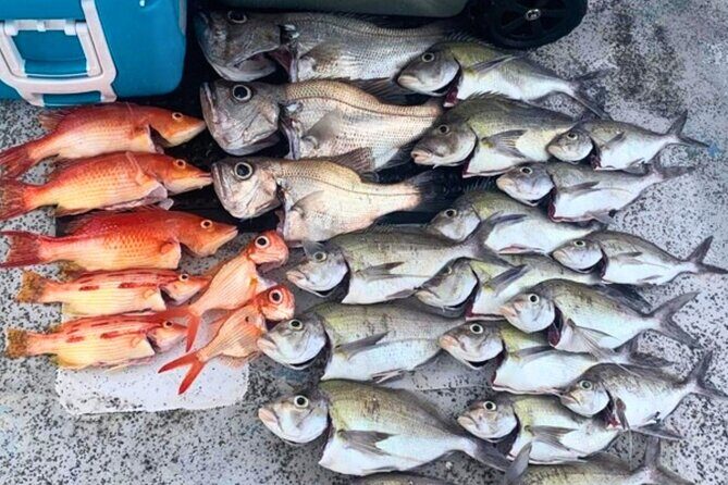 Manly Catch and Cook Ocean to Plate Experience - FAQ