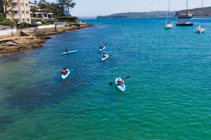 Manly Guided Kayak Tour - Kayaks, children, and the effort involved