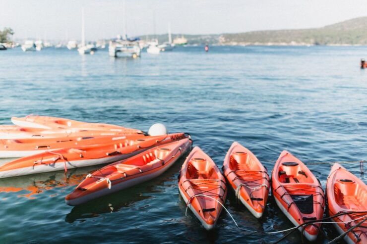 Manly: Mini Kayak Tour on Sydney's North Harbour - Experience Highlights