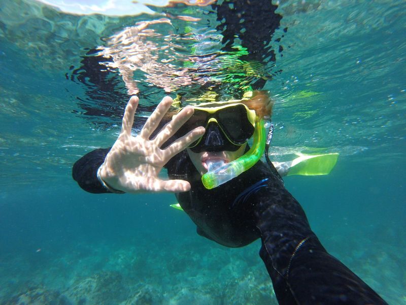 Manly Snorkel Tour with Guided Walking Tour - Start with the Shelly Beach headland
