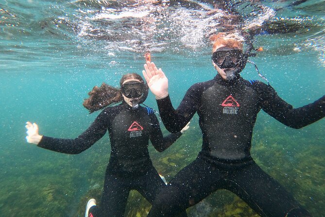 Manly Snorkel Trip and Nature Walk With Local Guide - Tour Overview and Inclusions