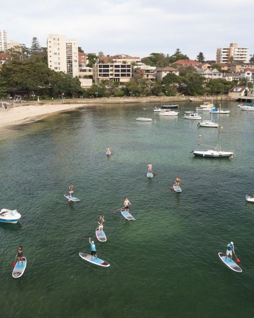 Manly Stand Up Paddle Board Hire - Experience Highlights
