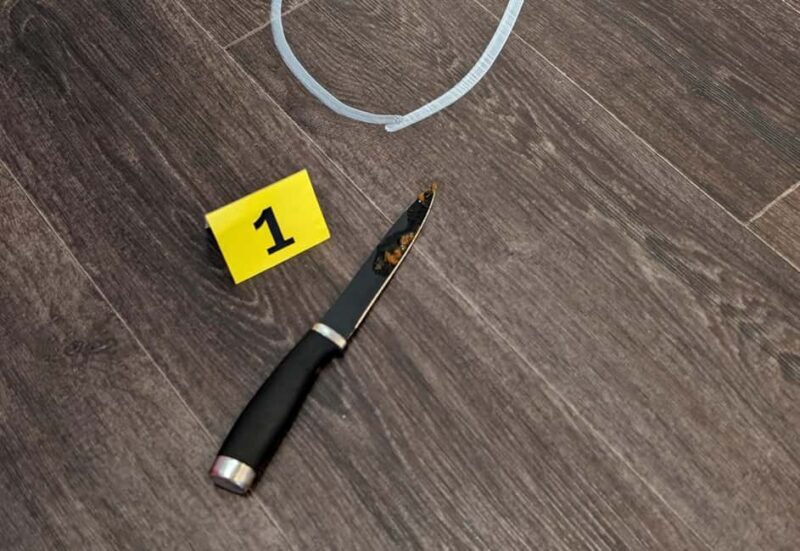 Mannheim, guided walking tour: Crime Scene Mannheim - The Experience in Detail