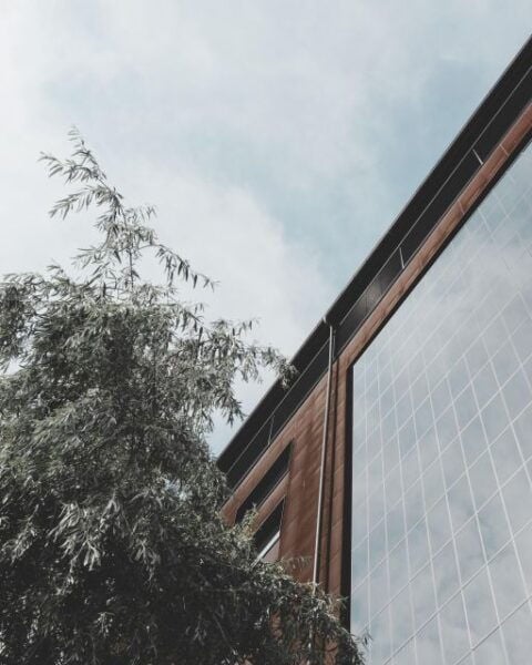 Mannheim: Private Architecture Tour With a Local Expert - How to Prepare