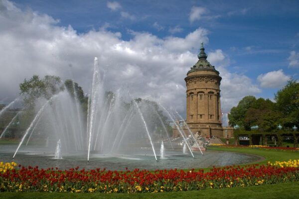 Mannheim: Private Exclusive History Tour With a Local Expert - The Sum Up