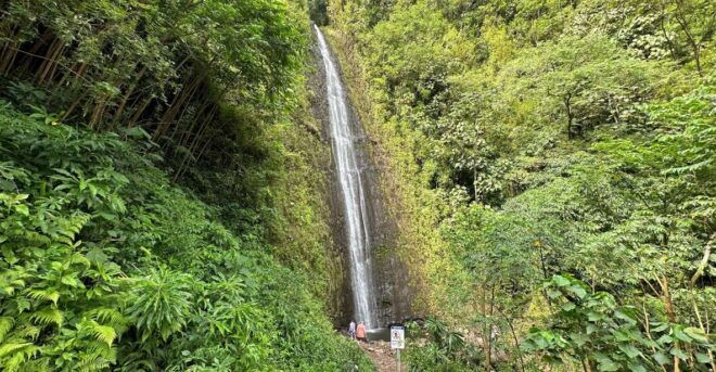 Manoa Falls Ebike to Hike - Common Questions