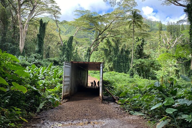 Manoa Falls Waterfall Hike! - Tour Overview