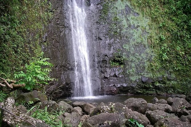 Manoa Falls Waterfall Hike! - Transportation Details