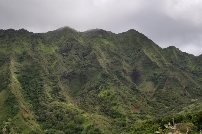 Manoa Waterfalls Hike and Lookout Visit: Pickup Included - What to Expect