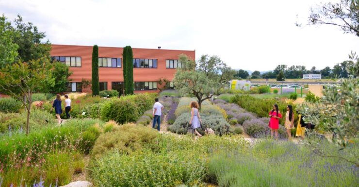 Manosque: Loccitane En Provence Guided Factory Tour - Experience During the Tour