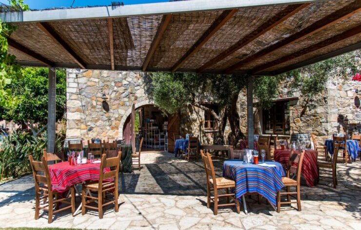 Manousakis Winery Shuttle Service Tour and Taste - Tour Highlights