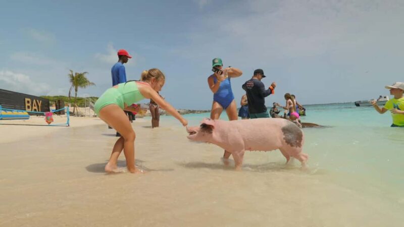 Mansa Bay w/ Swimming Pigs, Banana Boat, JetSki & Snorkeling - Good To Know