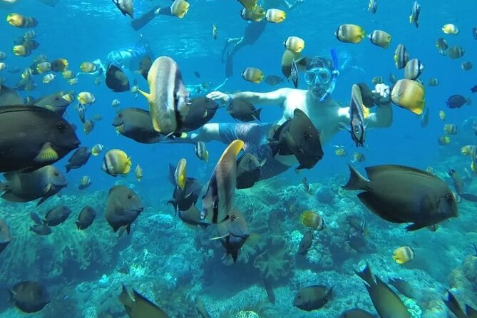 Manta Bay Snorkeling Adventure With Kelingking Beach Nusa Penida All Inclusive - Pricing and Payment