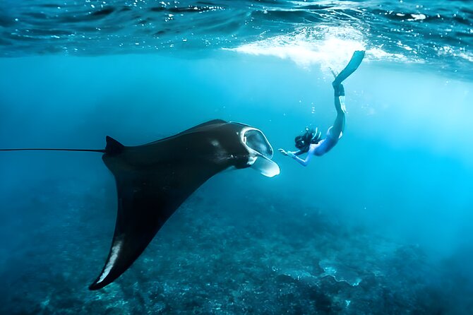 Manta Bay Snorkeling and Nusa Penida Island Tour - Tour Overview