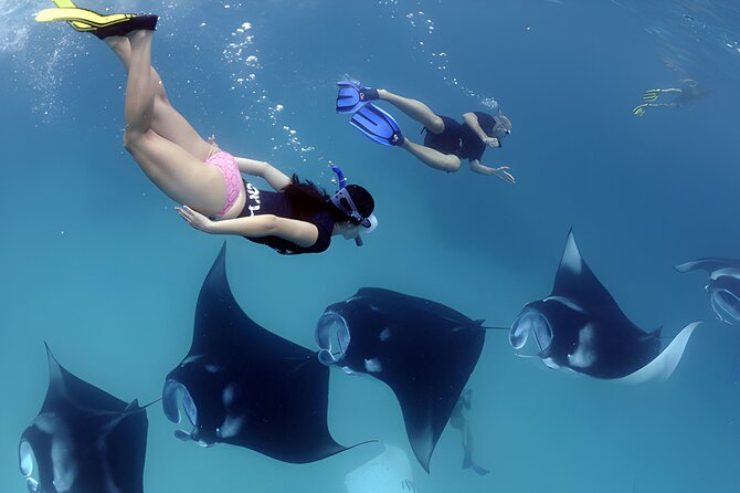 Manta Bay Snorkeling and Nusa Penida Island Tour - Inclusions and Exclusions