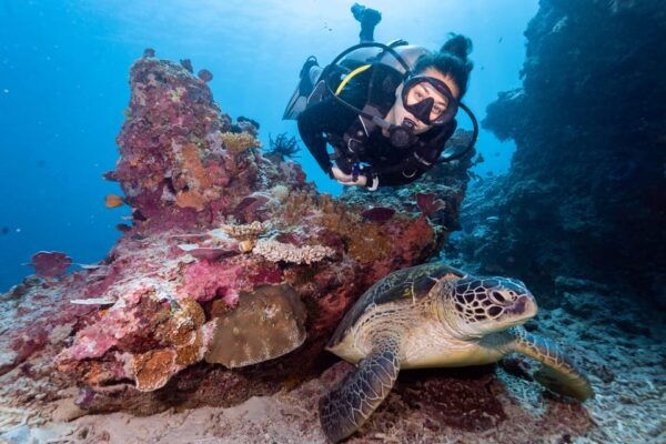 Manta Dive Gili Trawangan: Open Water Course - What to Bring