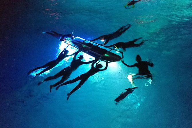 Manta Mania - Manta Ray Night Snorkel - Small-Group Experience In Kona, Hawaii - The Sum Up