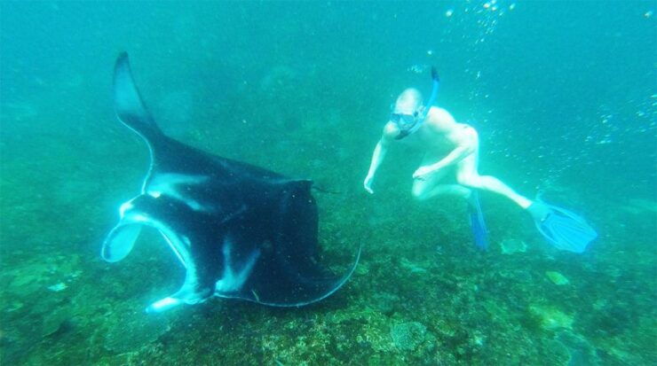 Manta Point 3 Spot Snorkeling and Nusa Penida Tour Land - Activity Details for the Tour