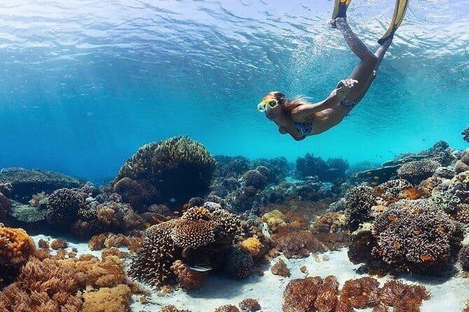 Manta Point Snorkeling & West Nusa Penida Island Day Tour - Introduction: An Experience That Combines Marine Wonder and Dramatic Scenery