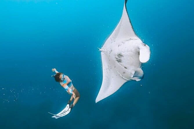 Manta Point Snorkeling & West Nusa Penida Island Day Tour - Good To Know