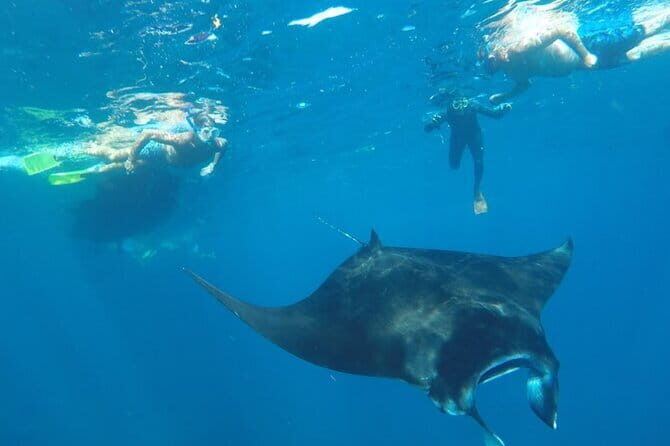 Manta Point Snorkeling & West Nusa Penida Island Day Tour - Practical Tips for Future Travelers