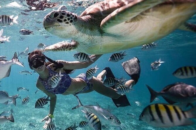 Manta Point Snorkeling & West Nusa Penida Island Day Tour - FAQ