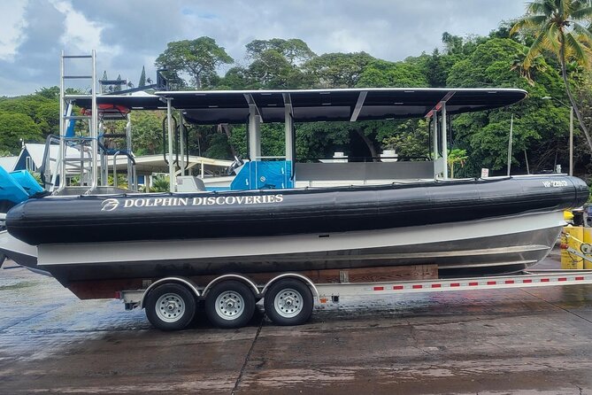 Manta Ray Night Snorkel Kona, Big Island - Meeting and Pickup Information