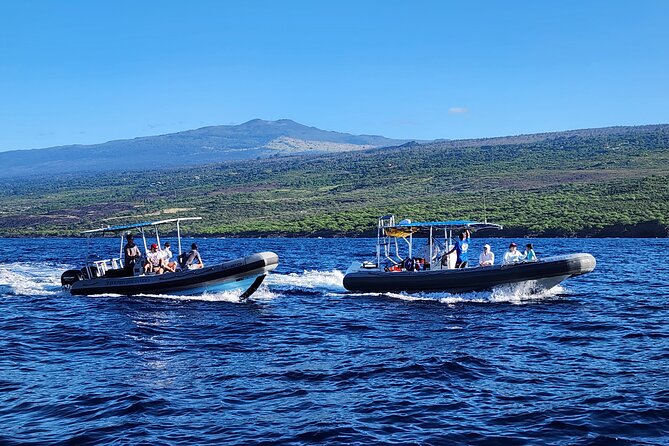Manta Ray Night Snorkel Kona, Big Island - Traveler Reviews
