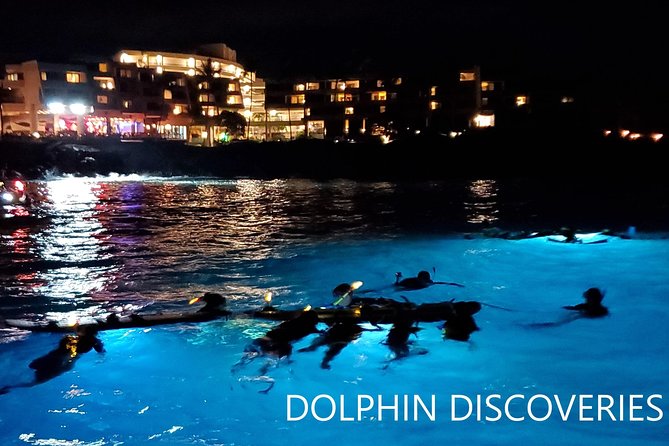 Manta Ray Night Snorkel Kona, Big Island - The Sum Up