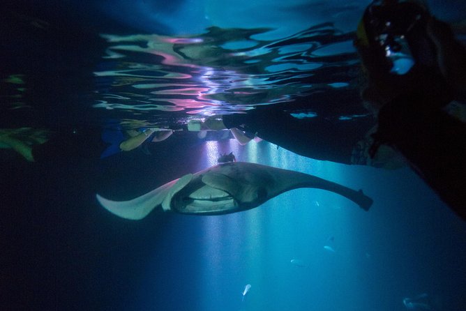 Manta Ray Night Snorkel Tour From Kona - Disappointing Experiences