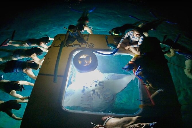 Manta Ray Snorkel Moonlight Kona Hawaii- Small Group - Overview of the Experience