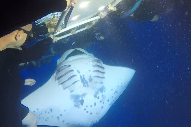 Manta Ray Snorkel Moonlight Kona Hawaii- Small Group - Directions and Finding the Tour