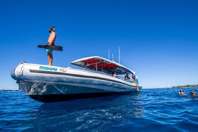 Manta Ray Snorkel Moonlight Kona Hawaii- Small Group - The Sum Up