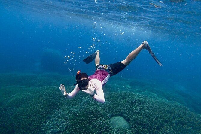 Manta Ray Snorkeling From Bali - An In-Depth Look at the Bali Manta Ray Snorkeling Tour