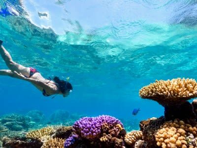 Mantaray Island Day Trip with Lunch - Snorkeling, coral and the chance of manta rays